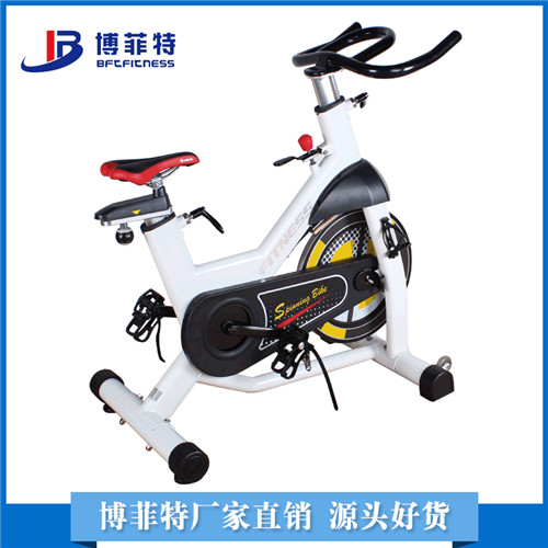 BSE06 象牙白時(shí)尚多功能防滑減震磁控動(dòng)感單車批大圖展示2