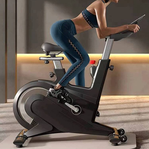 BSE-07 智能動(dòng)感單車