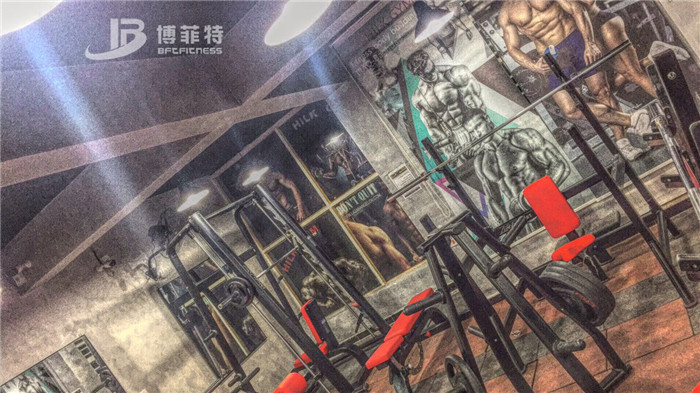 伊拉克客戶的健身房圖片 博菲特健身器材案例