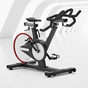 <b>BSE-106專業(yè)健身房動(dòng)感單車</b>