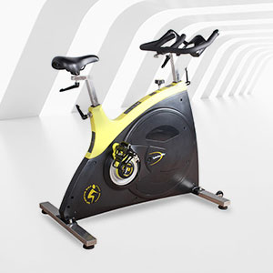 <b>BSE-12健身房豪華商用動(dòng)感單車 新款動(dòng)感單車廠家</b>