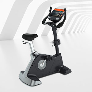 <b>BCE-301T健身房高檔立式健身車</b>