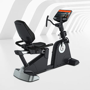 <b>BCE-302T健身房商用豪華臥式磁控健身車</b>