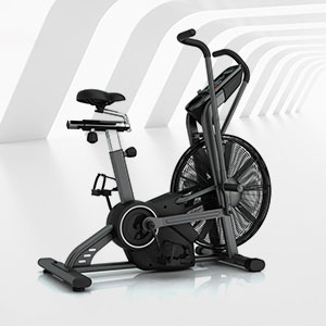 <b>BCE-809商用健身房風(fēng)阻車</b>