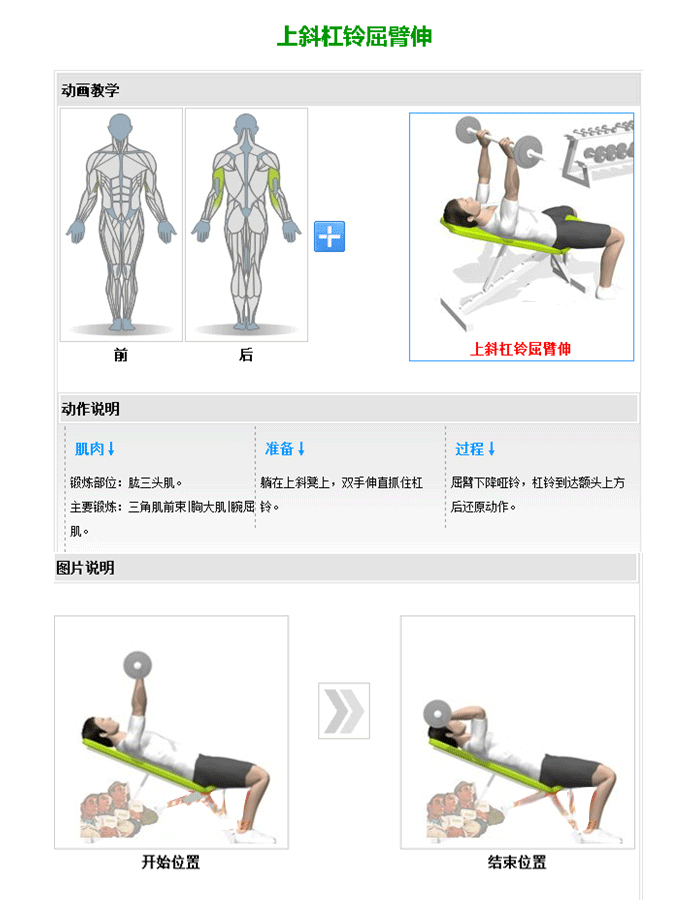 可調(diào)啞鈴訓(xùn)練椅 推舉啞鈴訓(xùn)練器 博菲特室內(nèi)健身器材