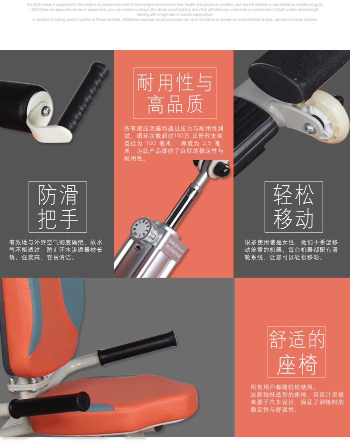 BFT-6003二/三頭肌訓(xùn)練器