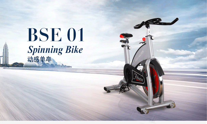 BSE01動感單車（灰色）